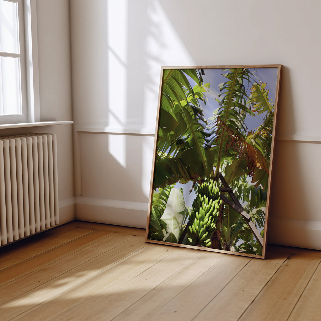 Portugal Travel Print 3 | Tropical | Watercolour | Leaves | Exotic | Greenery | Banana Monstera Palm Leaves | Beach House Artwork | Botanical