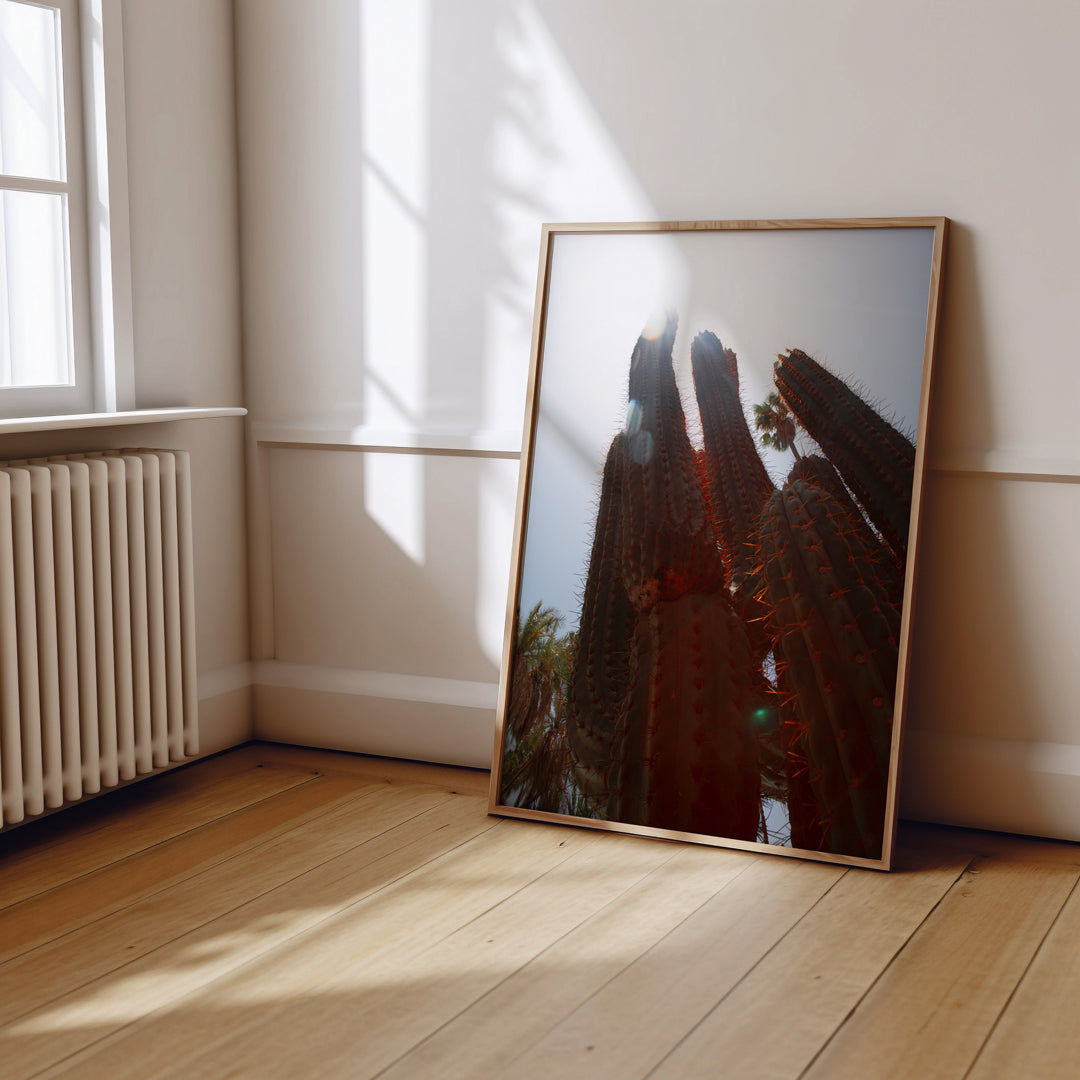 Cactus Travel Print 1 | Travel Photo Posters | World Landmarks & Location Prints | Holiday Destinations | Minimalist Cactus Art Print