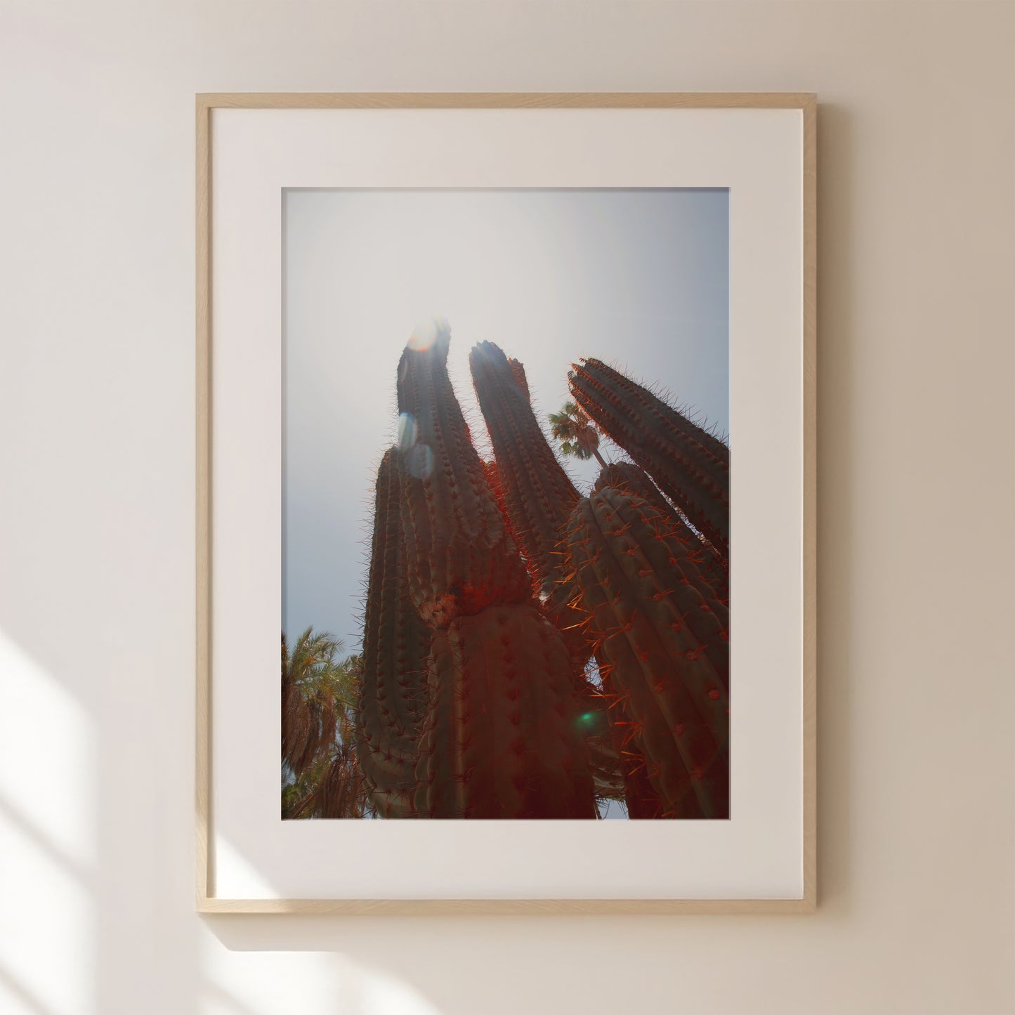 Cactus Travel Print 1 | Travel Photo Posters | World Landmarks & Location Prints | Holiday Destinations | Minimalist Cactus Art Print