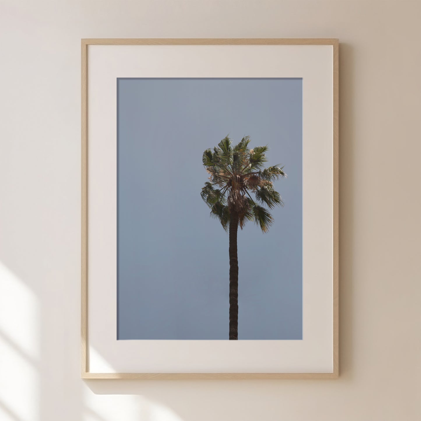 Palm Travel Print 1 | Palm Tree Print | Palm Tree Wall Art | Tropical Wall Art | Boho Coastal | Travel Photo Posters | Holiday Destinations