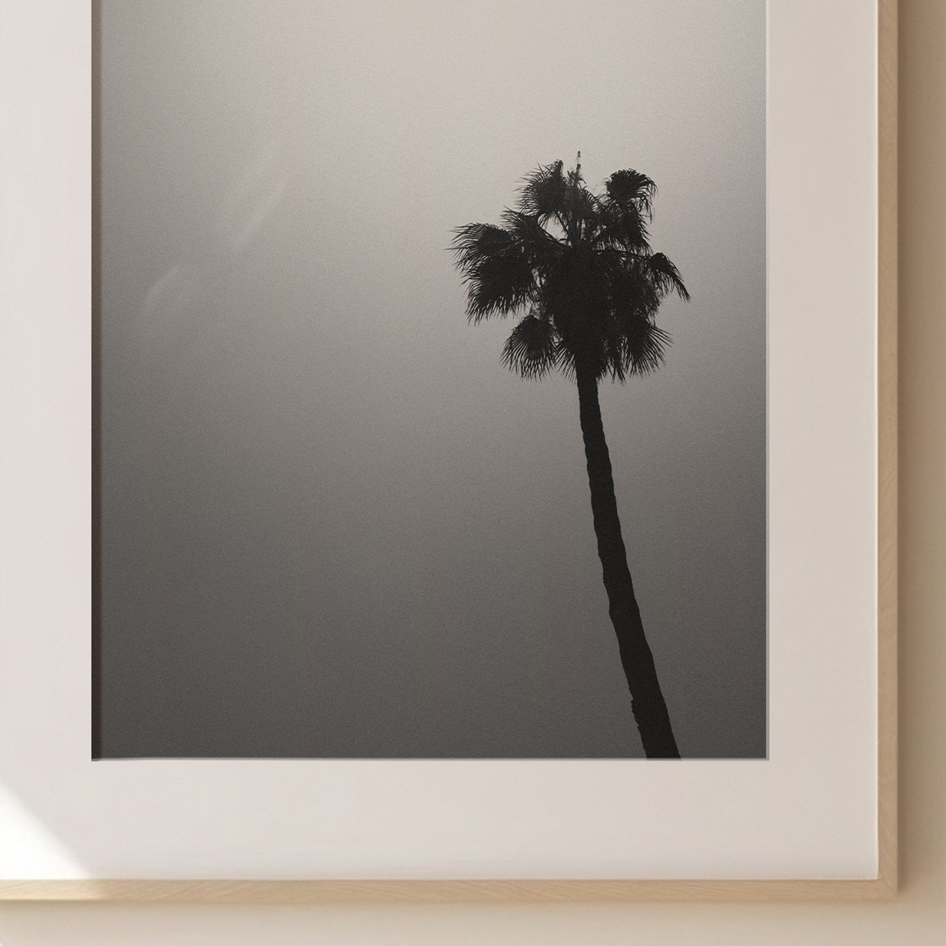 PALM TREE PRINT 1