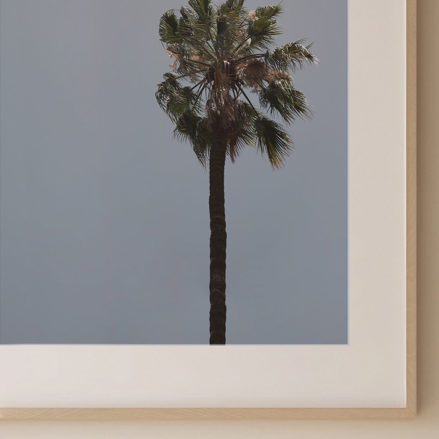 PALM TRAVEL PRINT 1