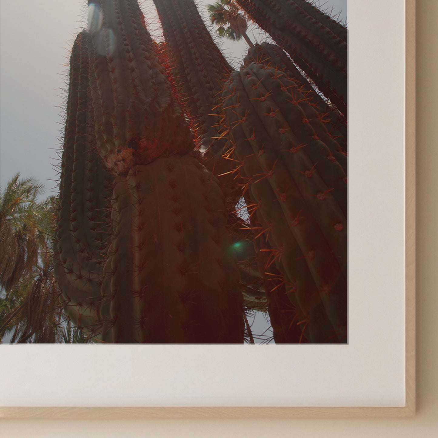 CACTUS TRAVEL PRINT 1