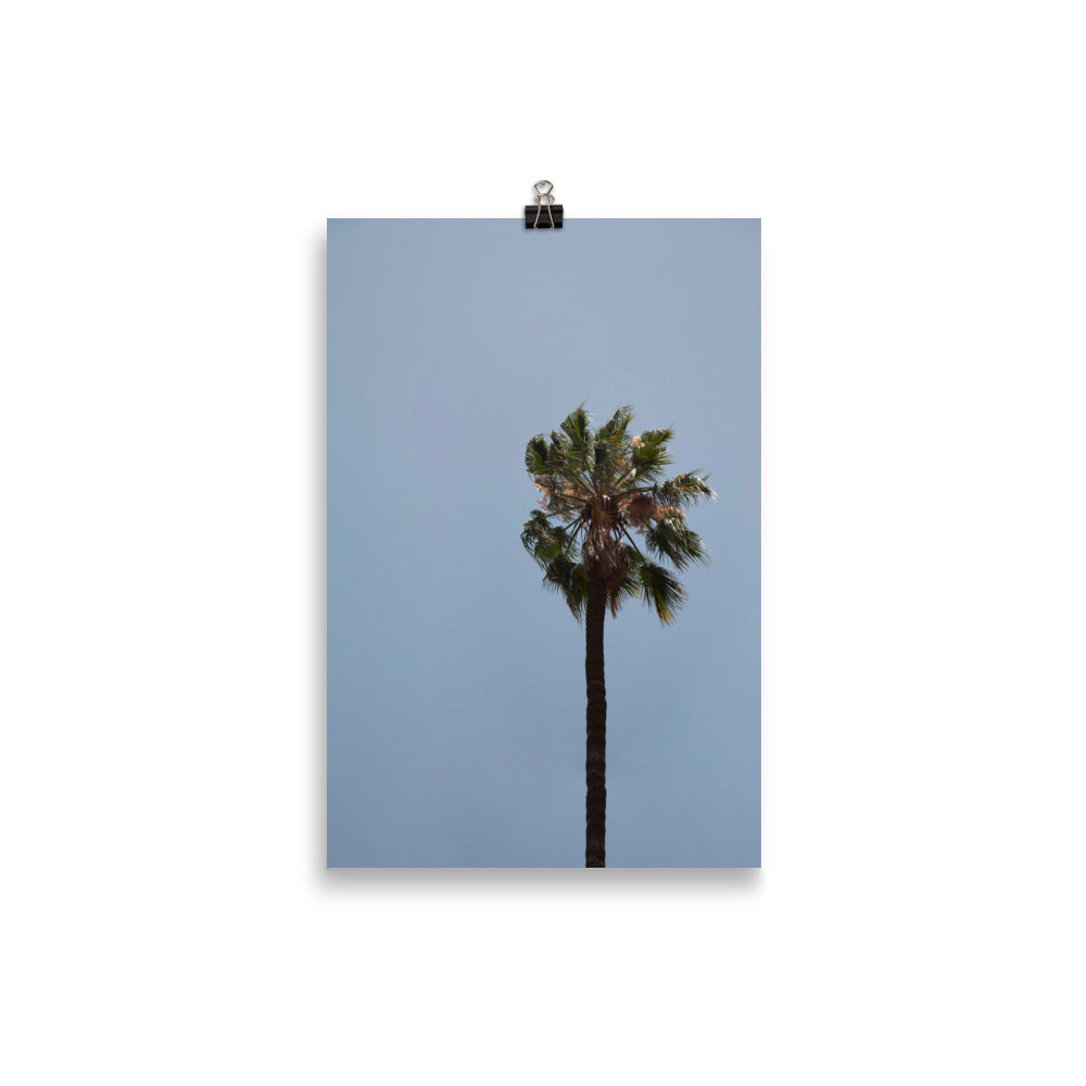 PALM TRAVEL PRINT 1