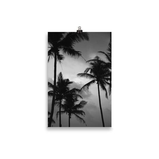 PALM TREE PRINT 2