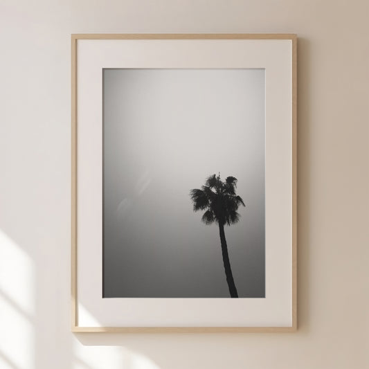 Palm Tree Print 1, Black and White Prints, Black Abstract Art, Black Gallery Wall, Palm Tree Print, Palm Tree Wall Art, Tropical Art