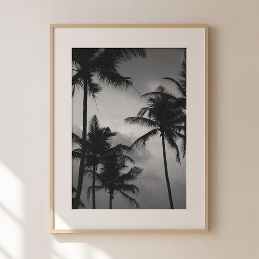 Palm Tree Print 2, Black and White Prints, Black Abstract Art, Black Gallery Wall, Palm Tree Print, Palm Tree Wall Art, Tropical Art