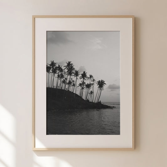 Palm Tree Print 3, Black and White Prints, Black Abstract Art, Black Gallery Wall, Palm Tree Print, Palm Tree Wall Art, Tropical Art