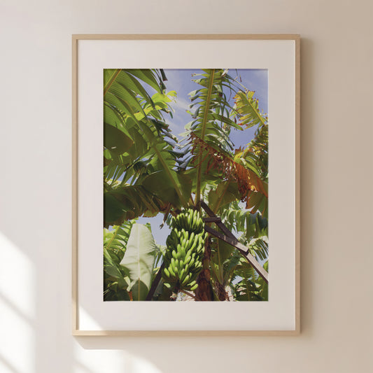 Portugal Travel Print 3, Tropical, Watercolour, Leaves, Exotic, Greenery, Banana Monstera Palm Leaves,  Beach House Artwork, Botanical